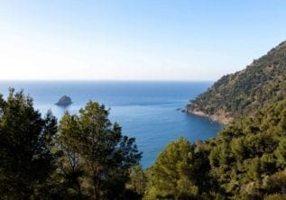 Massif du Cap Sicié