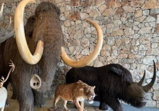 Musée de Préhistoire et grotte historique – Quinson