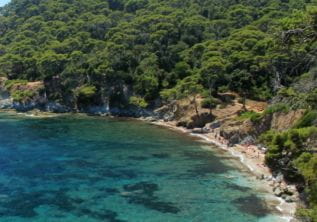 Plage des Darboussières