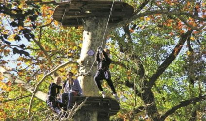 Accrobranche et sauts